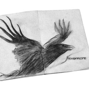 First nevermore rendition, using watercolor pencils