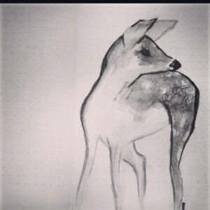 a deer in watercolor pencils